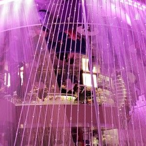 Meet your Posher, Teri